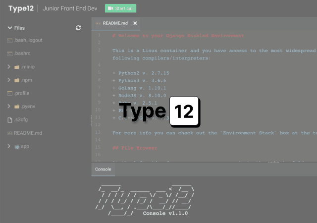 Type12 Case Studies